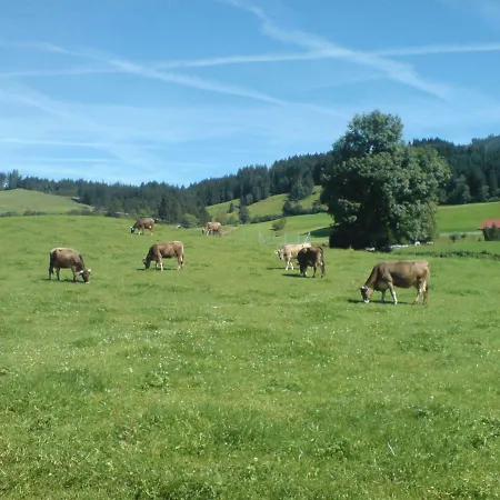 Alfred Albrecht Landhuis Oberstdorf
